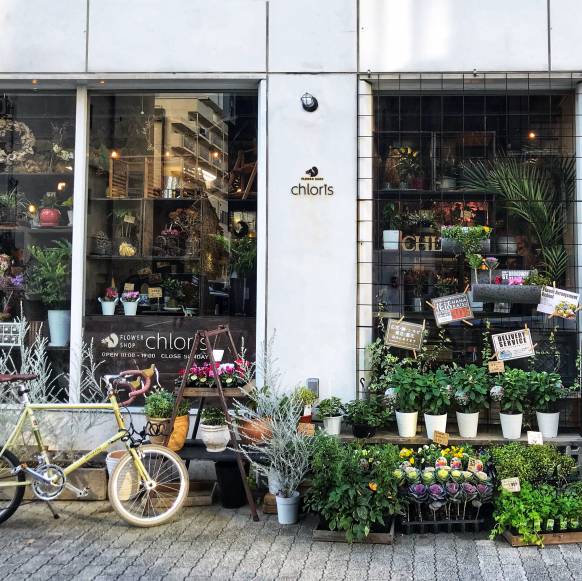 「ｃｈｌｏｒｉｓ」　（愛知県名古屋市中区）の花屋店舗写真1